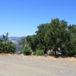 IMG_3761.JPG