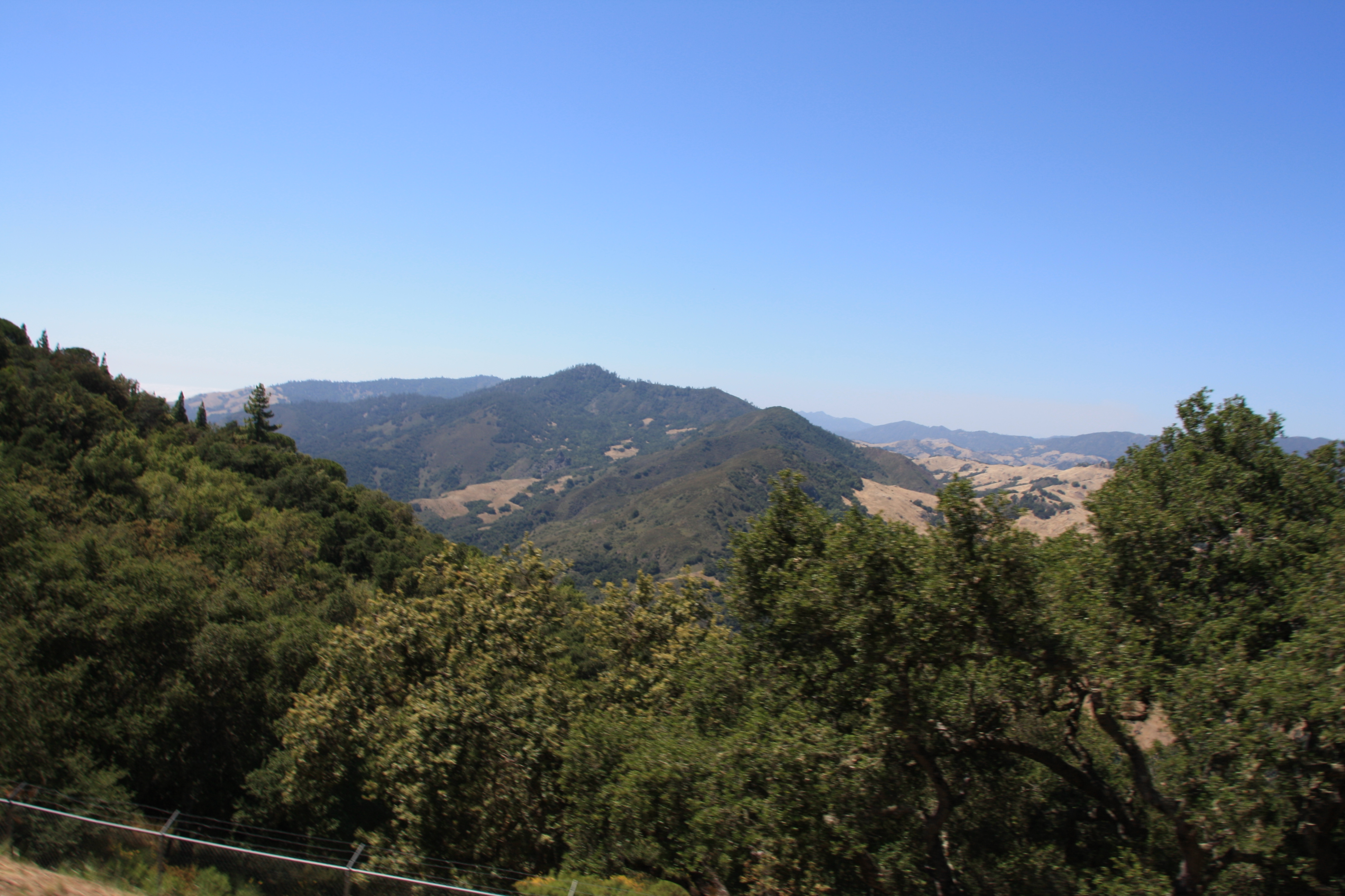 IMG_3764.JPG