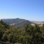 IMG_3764.JPG