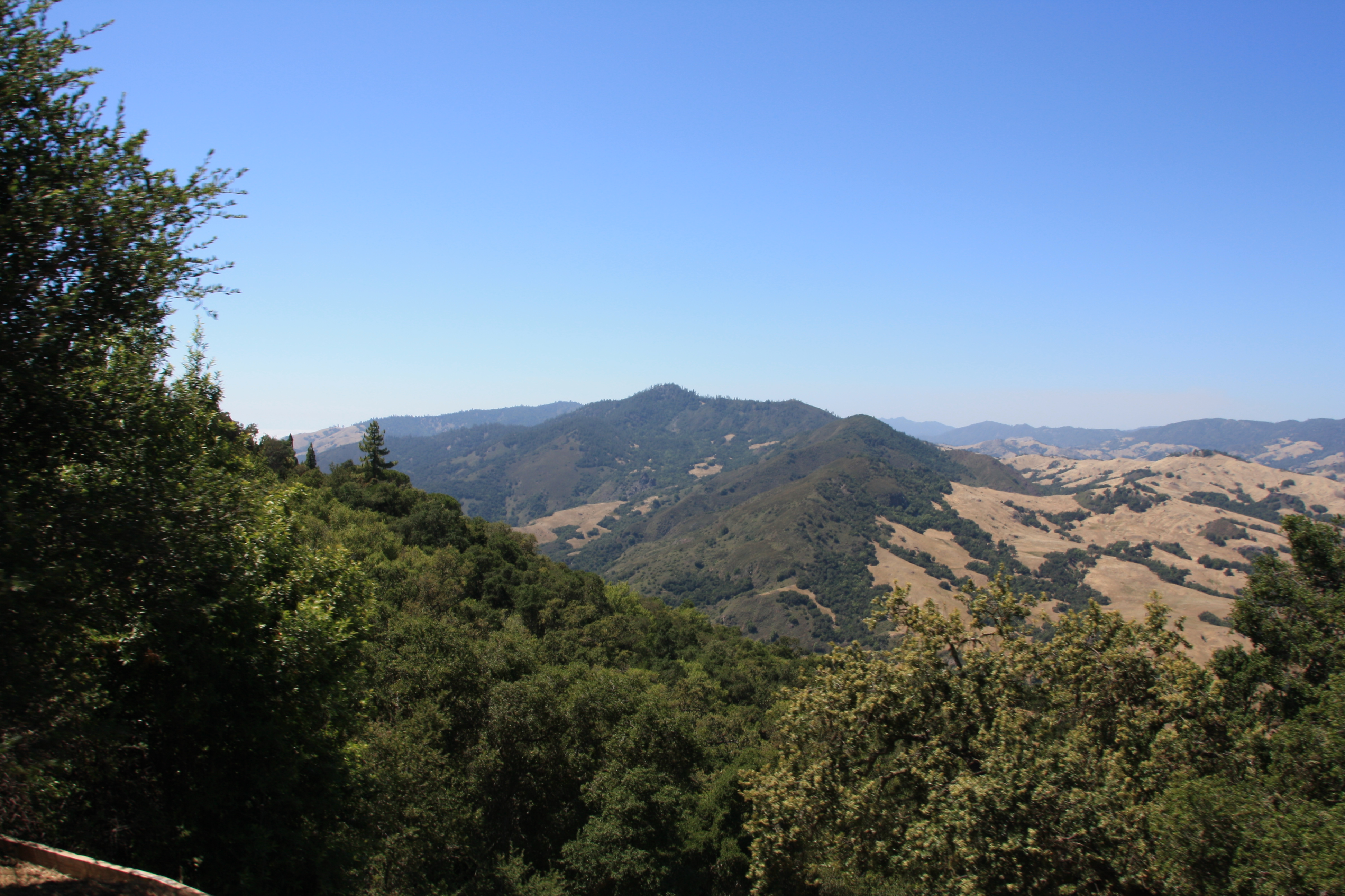 IMG_3765.JPG