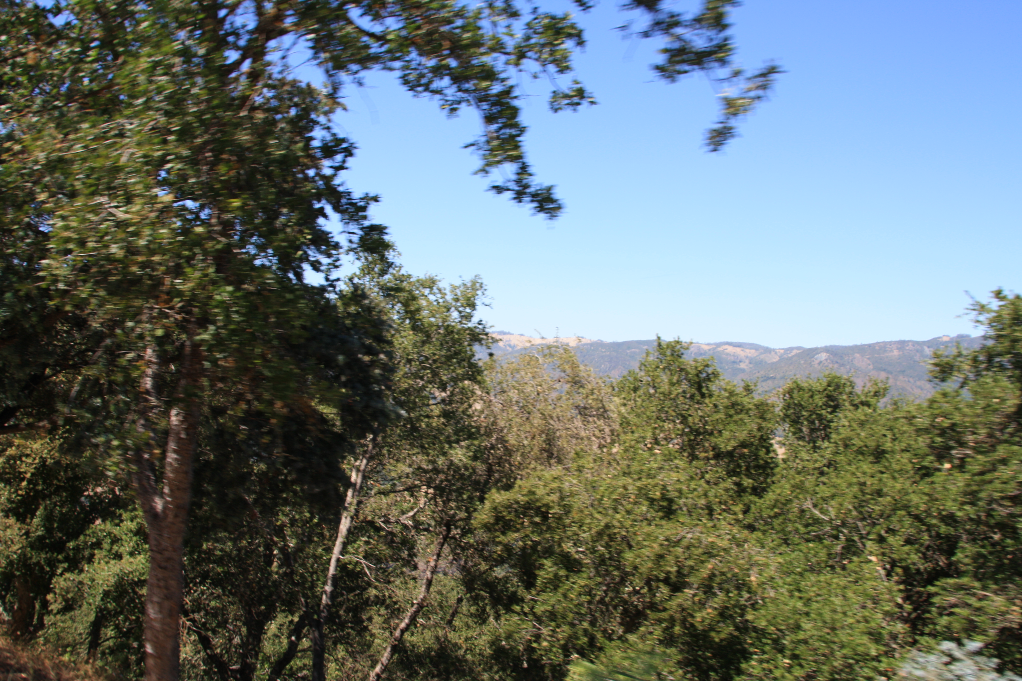 IMG_3767.JPG