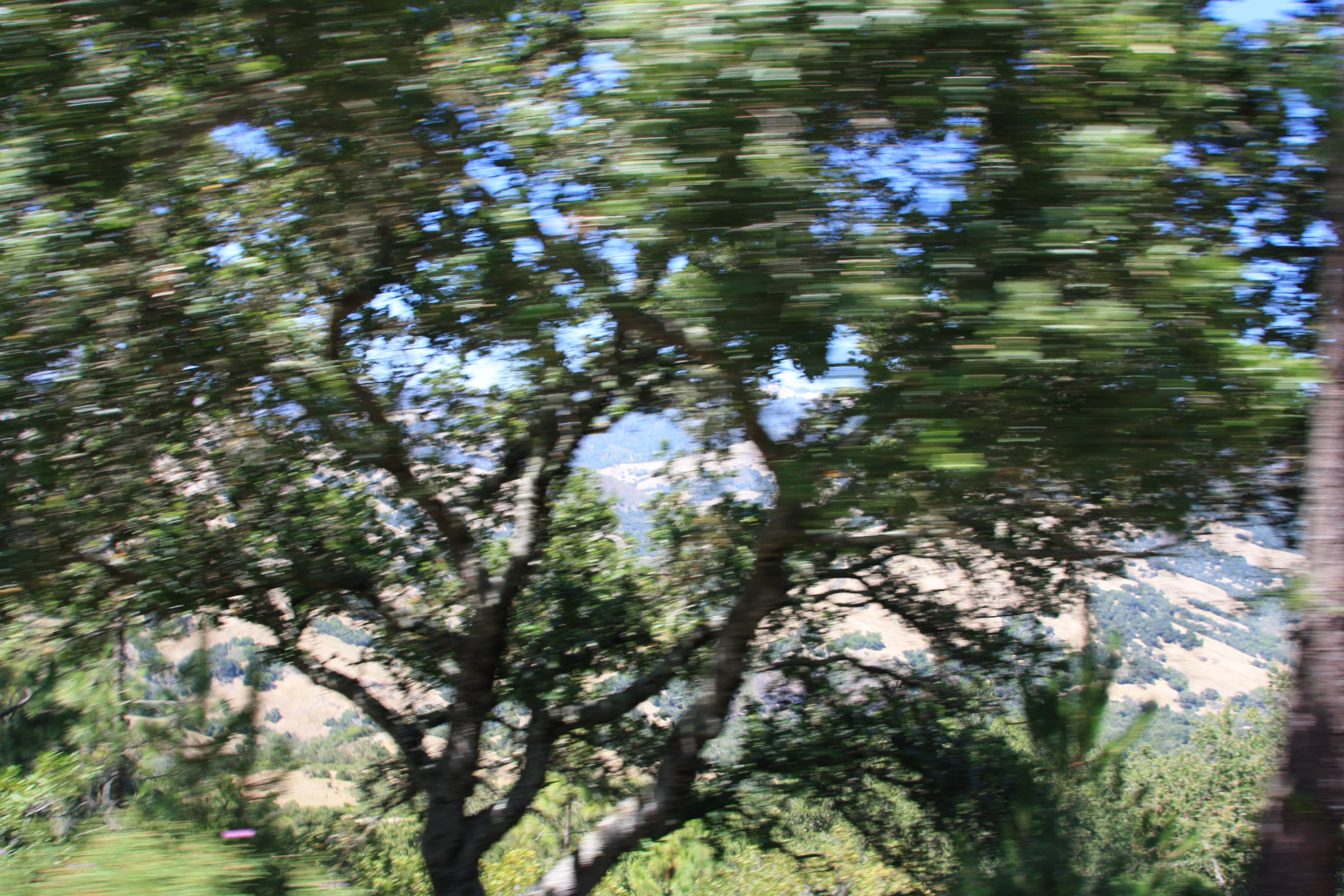 IMG_3769.JPG