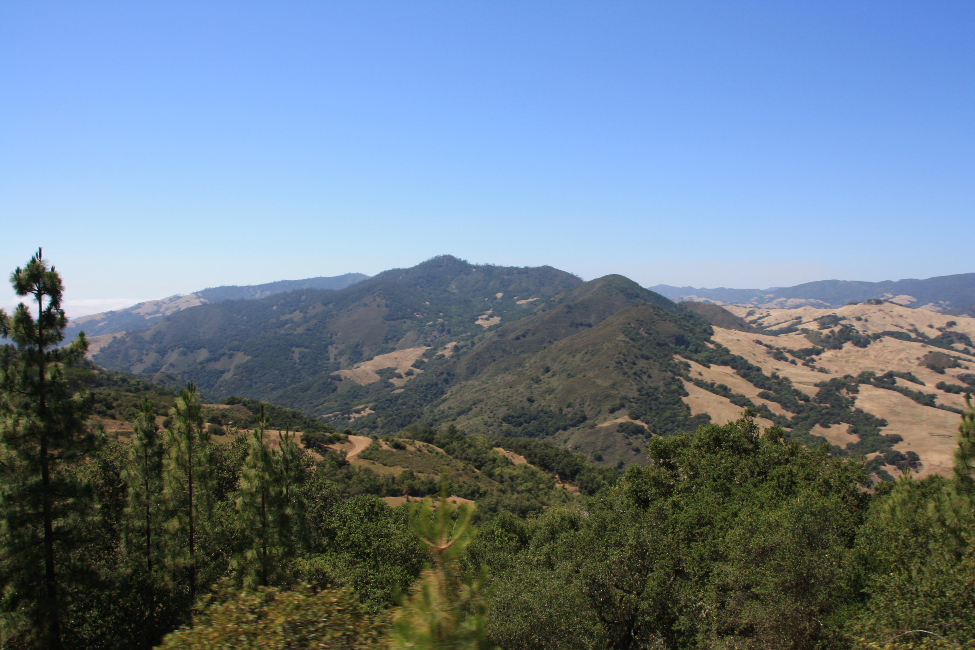 IMG_3770.JPG