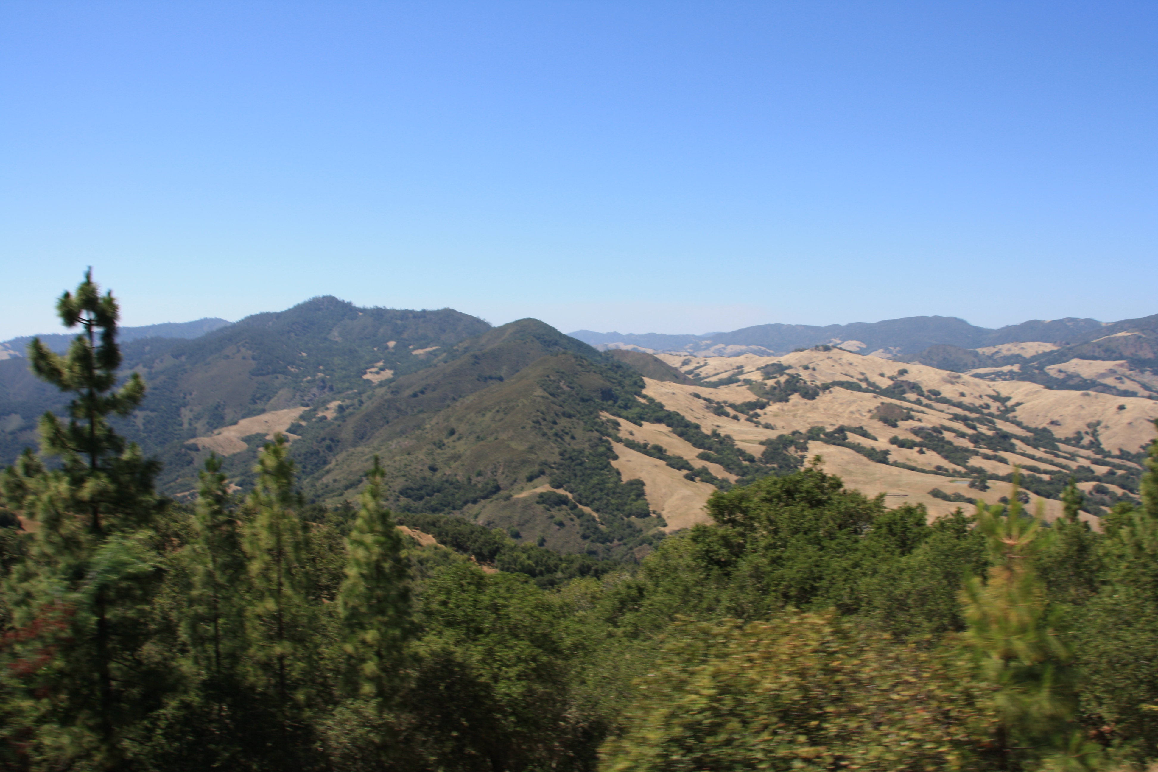 IMG_3771.JPG