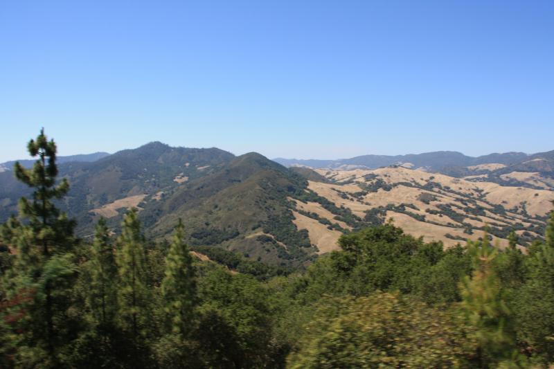 IMG_3771.JPG