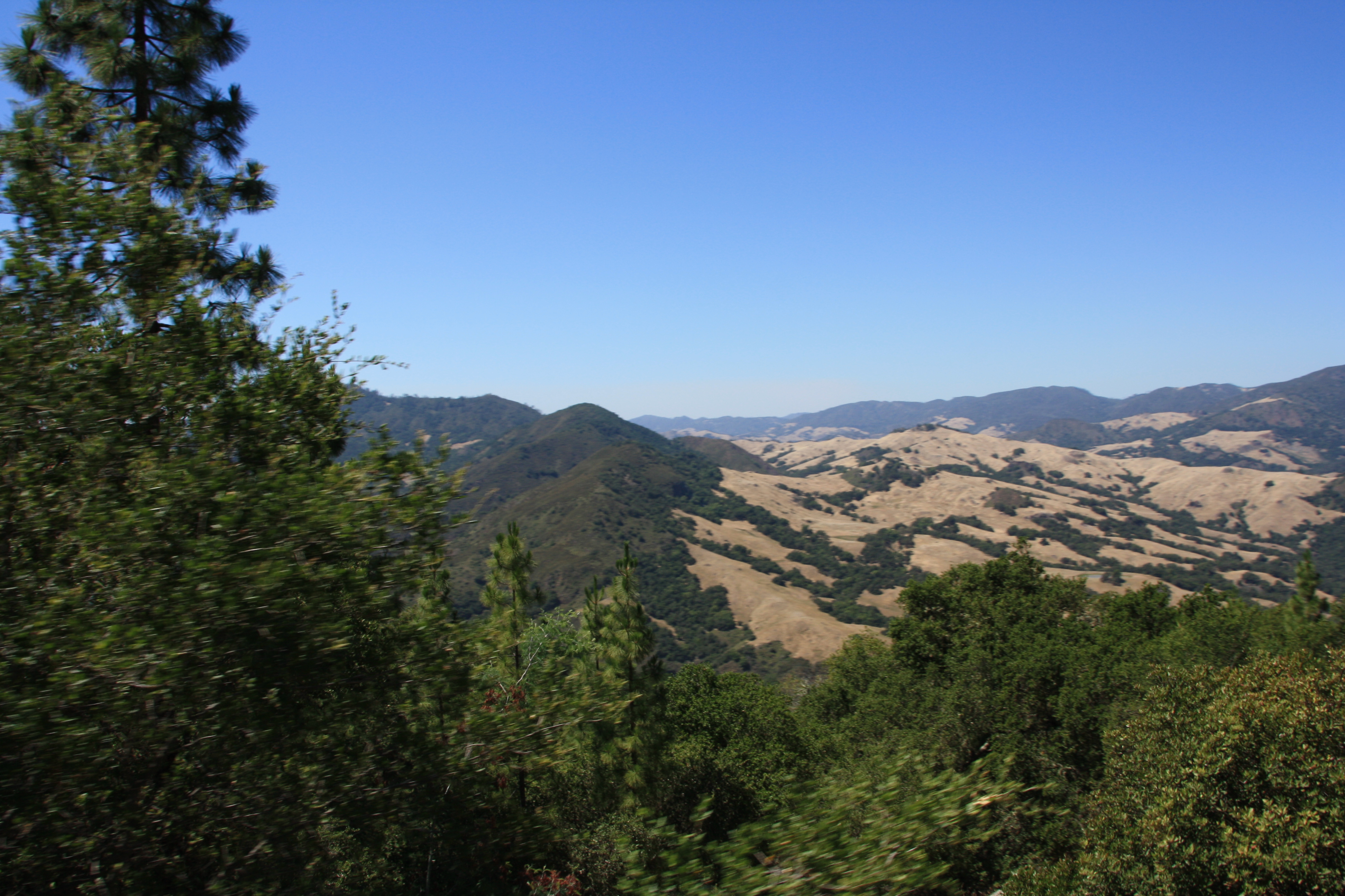 IMG_3772.JPG