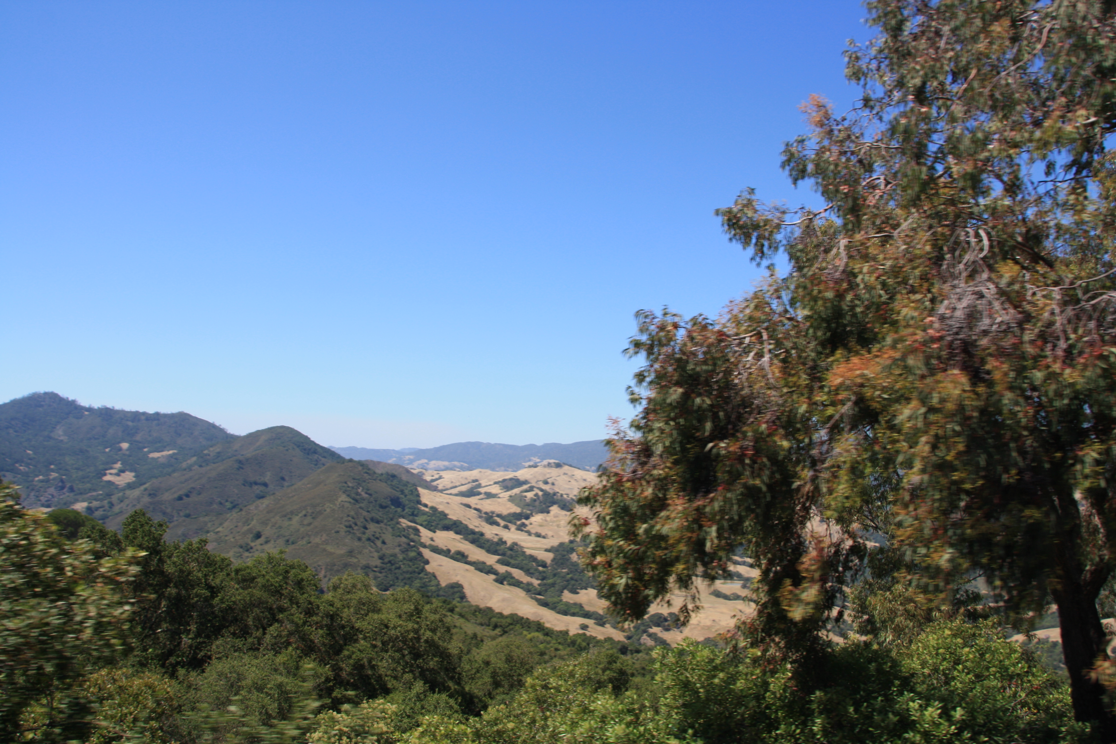 IMG_3773.JPG