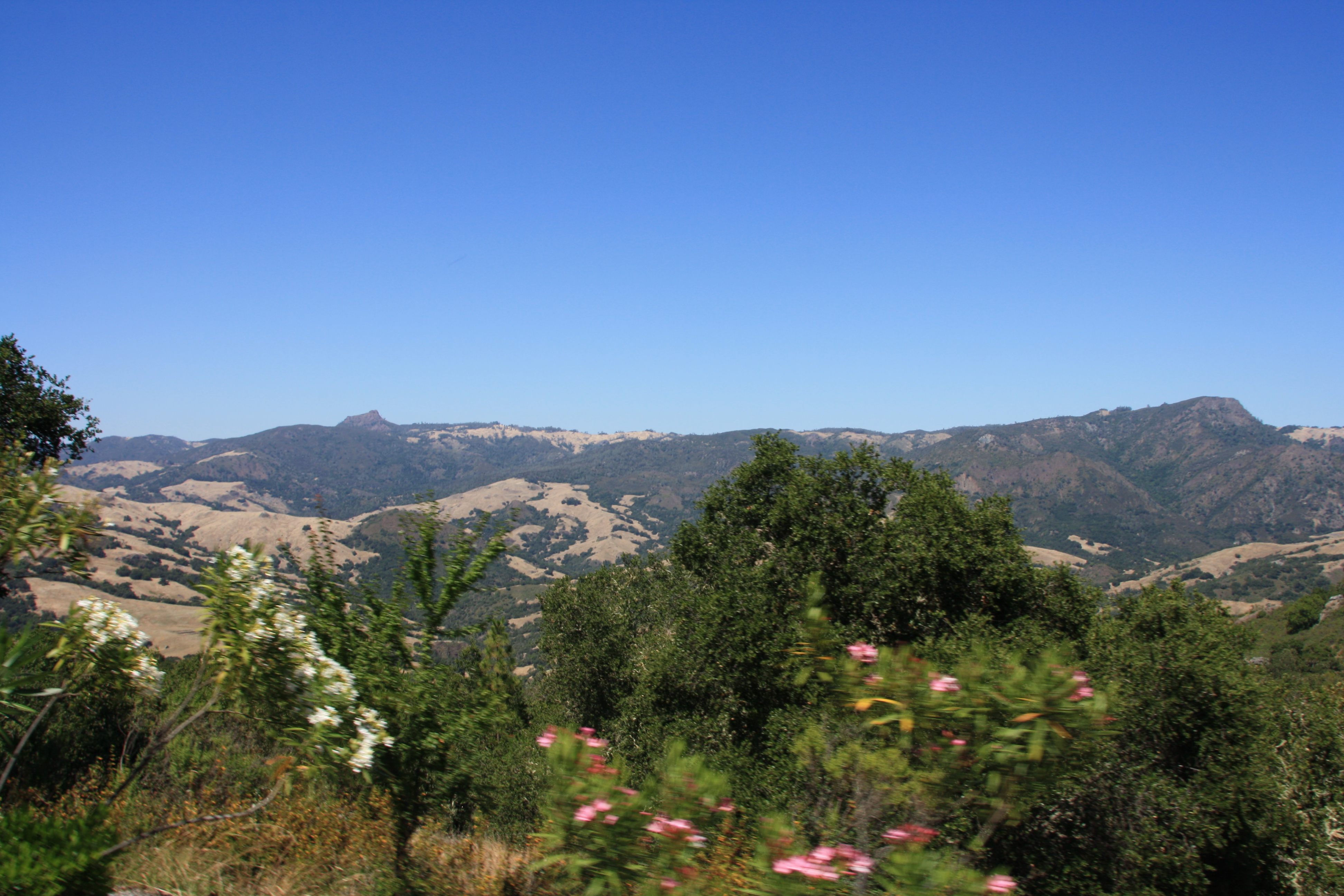IMG_3774.JPG