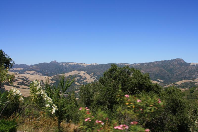 IMG_3774.JPG