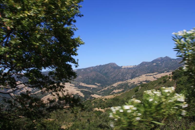 IMG_3775.JPG