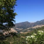 IMG_3775.JPG