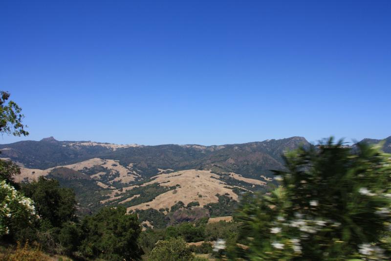 IMG_3777.JPG