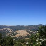 IMG_3777.JPG