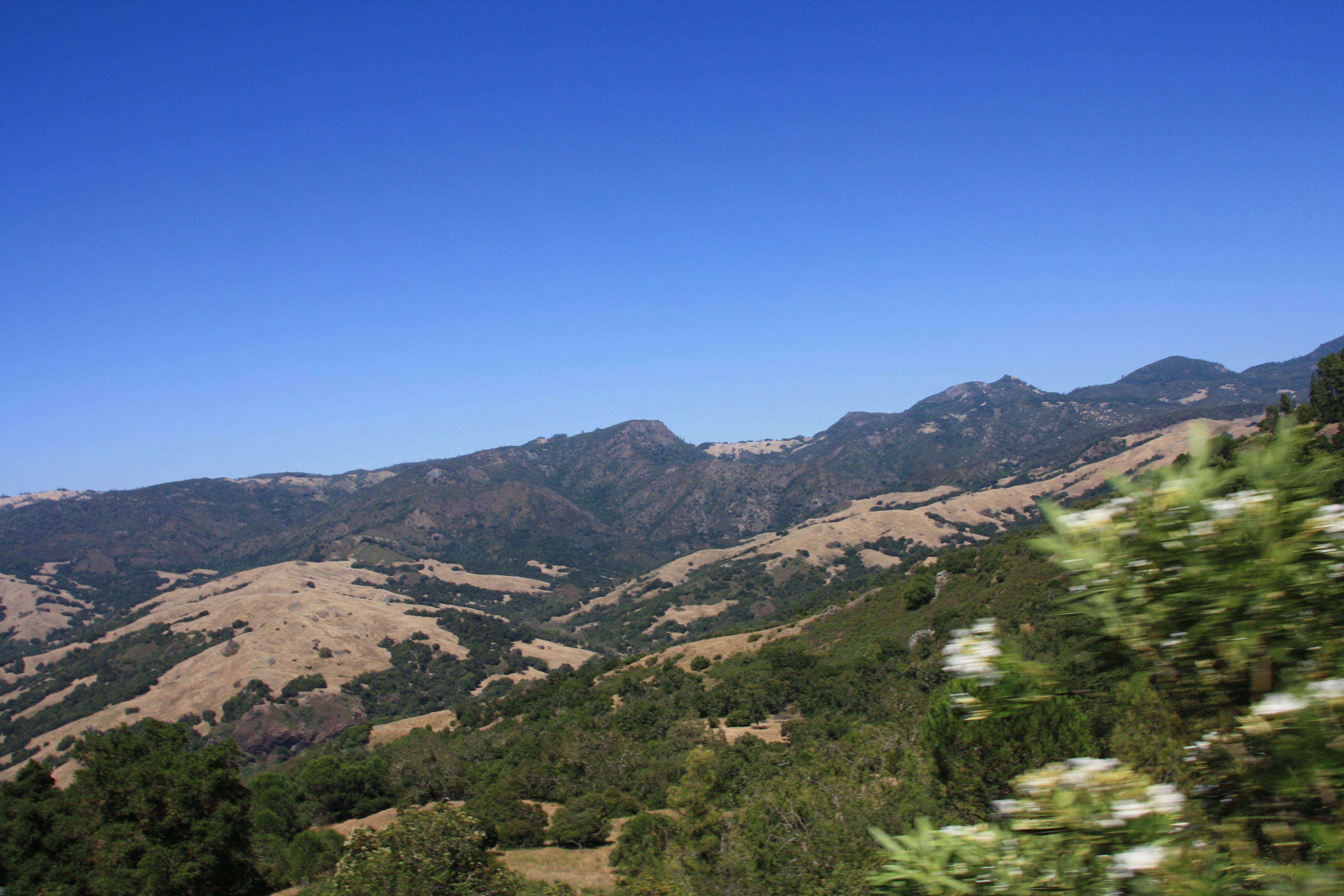 IMG_3778.JPG