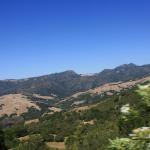 IMG_3778.JPG
