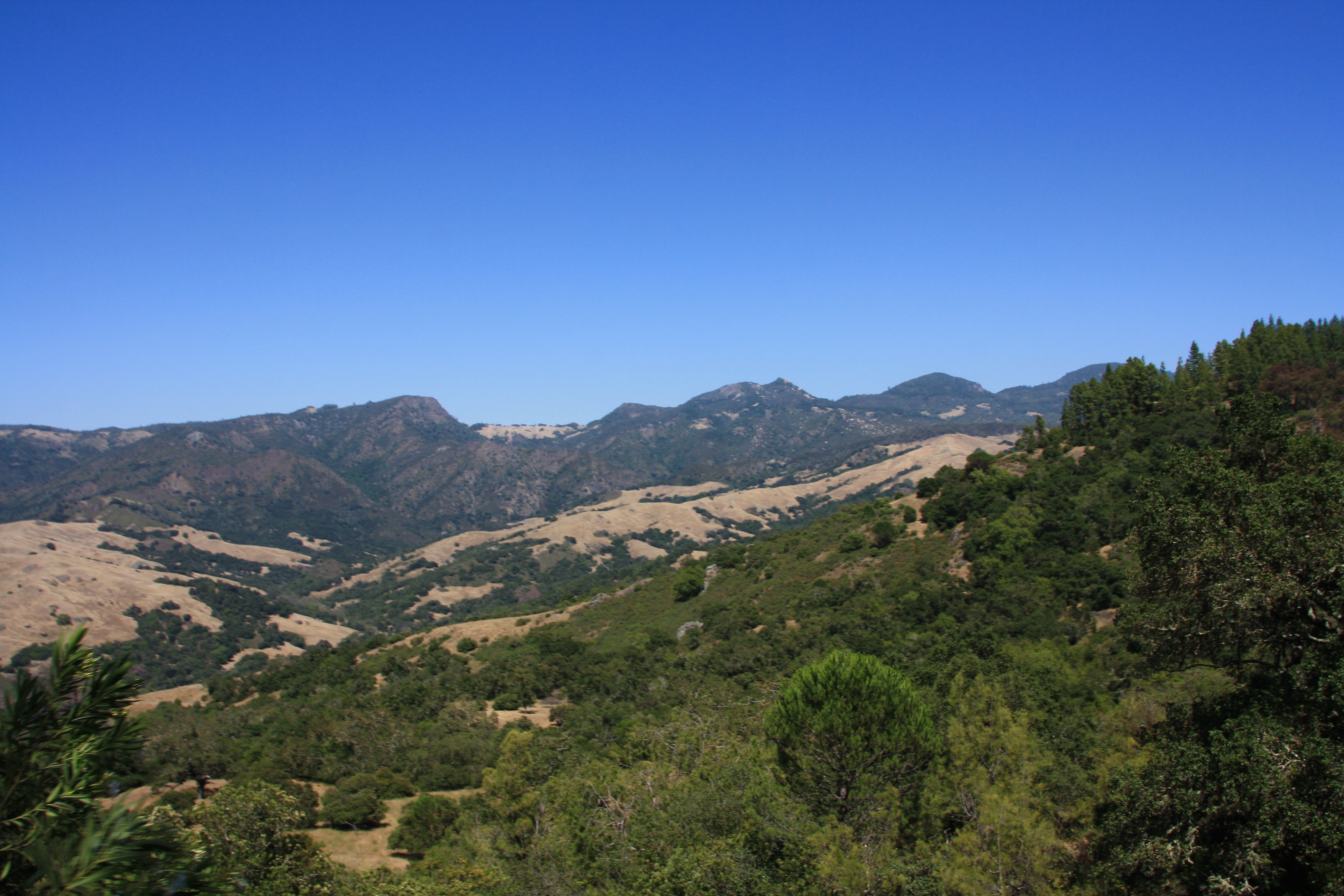 IMG_3779.JPG
