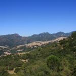 IMG_3779.JPG