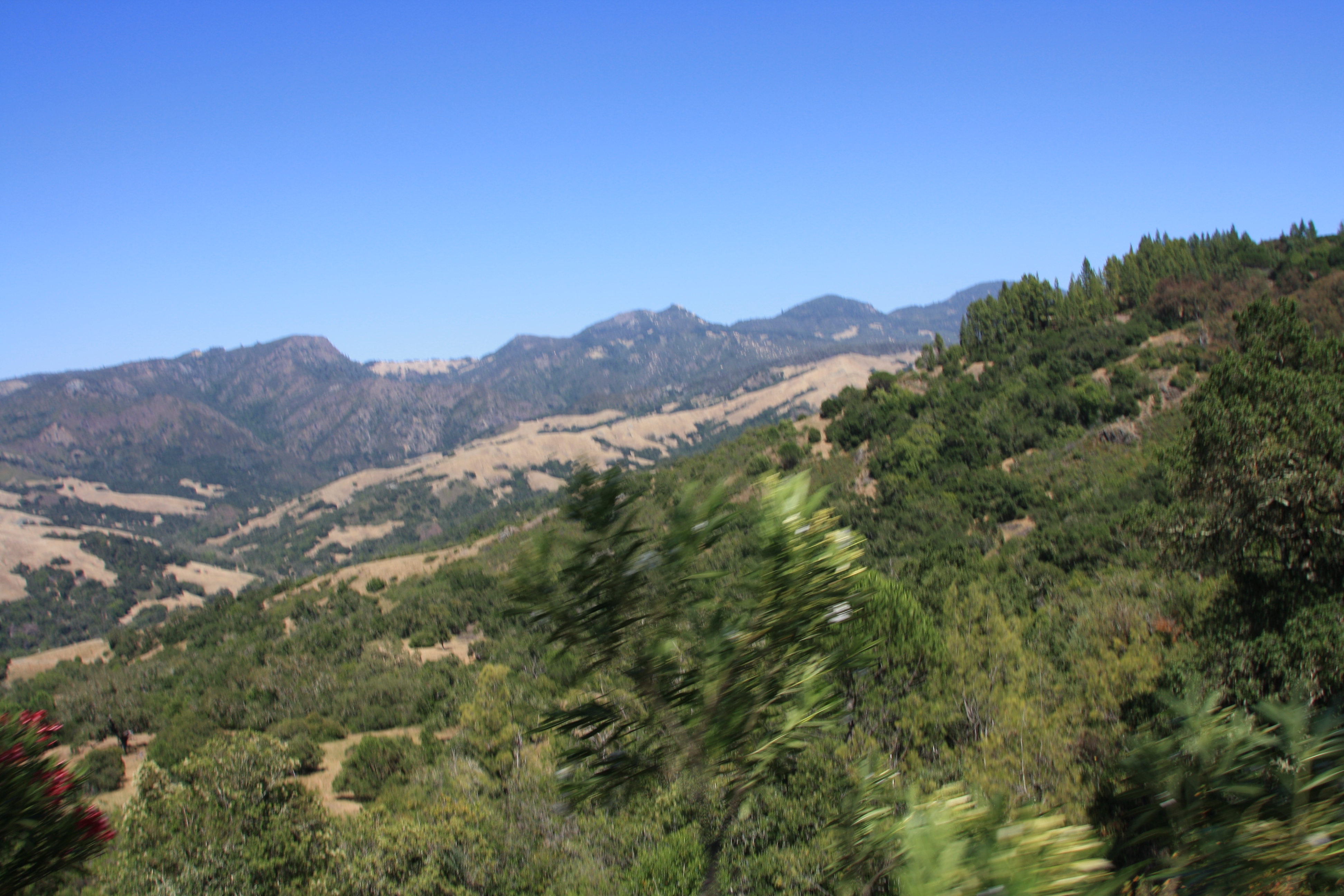 IMG_3780.JPG