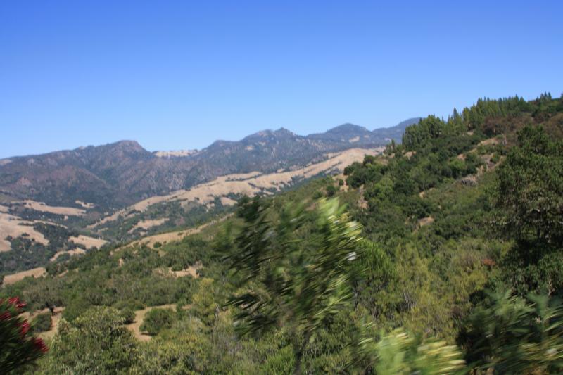 IMG_3780.JPG