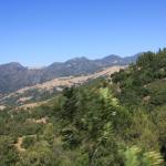 IMG_3780.JPG