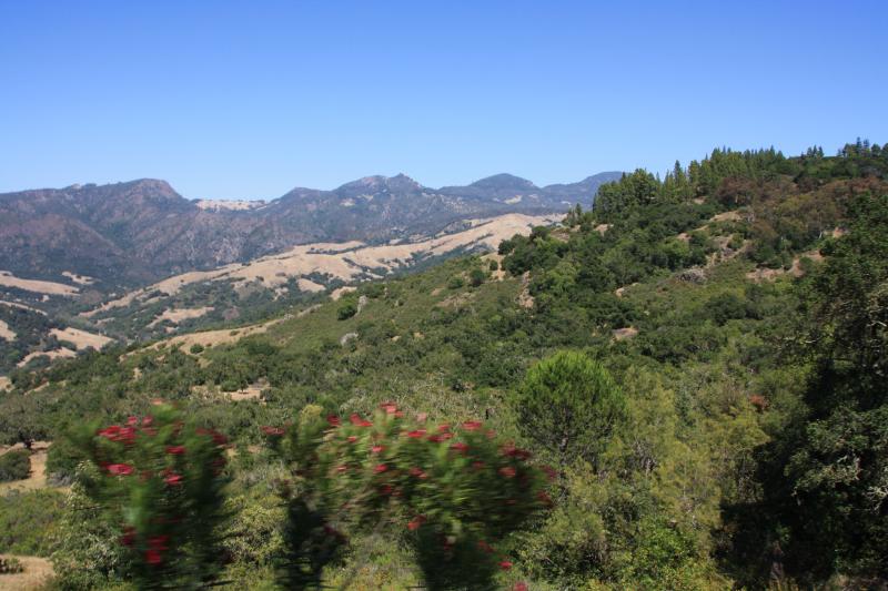 IMG_3781.JPG