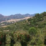 IMG_3781.JPG