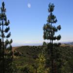 IMG_3782.JPG