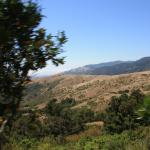 IMG_3783.JPG