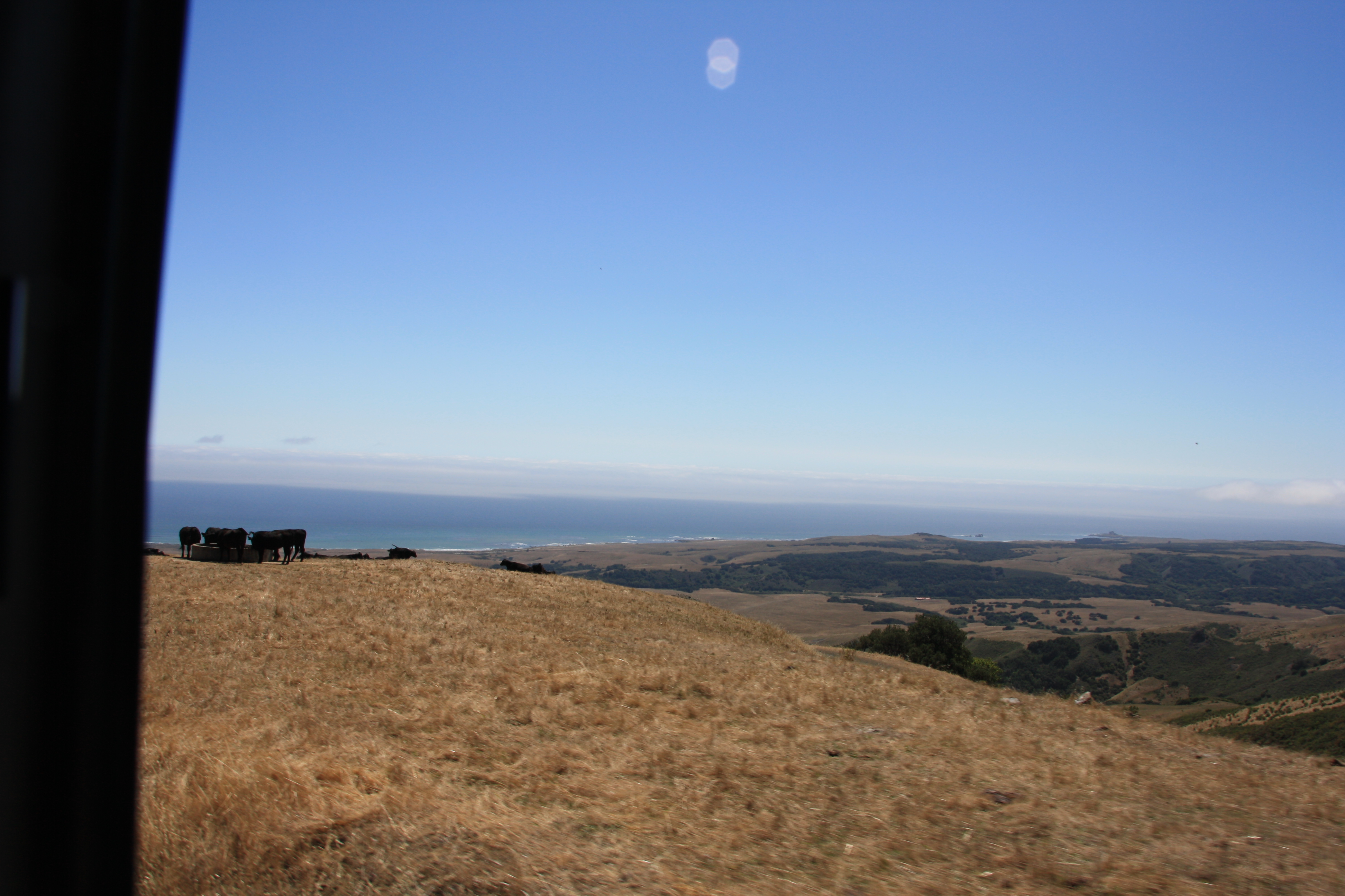 IMG_3784.JPG
