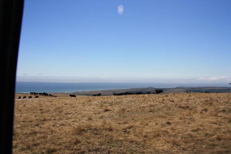 IMG_3787.JPG