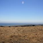 IMG_3787.JPG