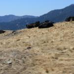 IMG_3789.JPG