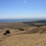 IMG_3795.JPG