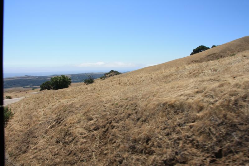 IMG_3800.JPG