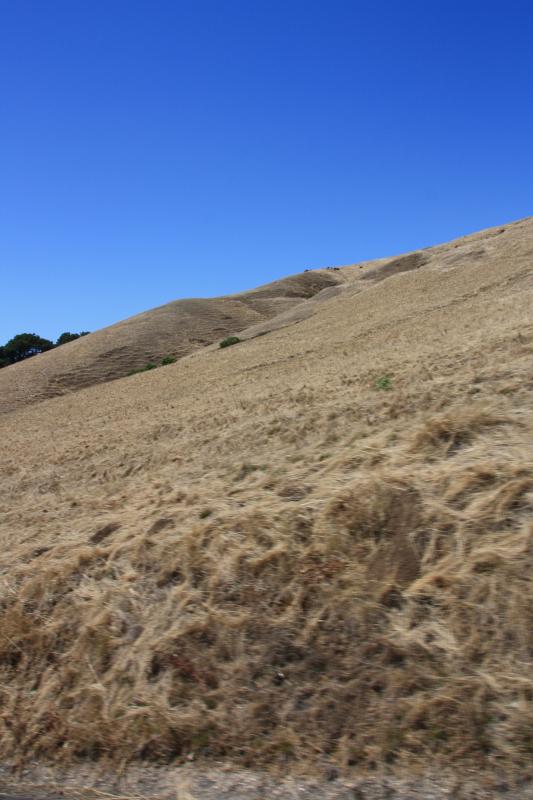 IMG_3802.JPG