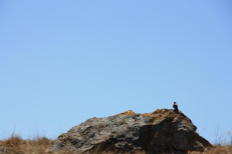 IMG_3818.JPG
