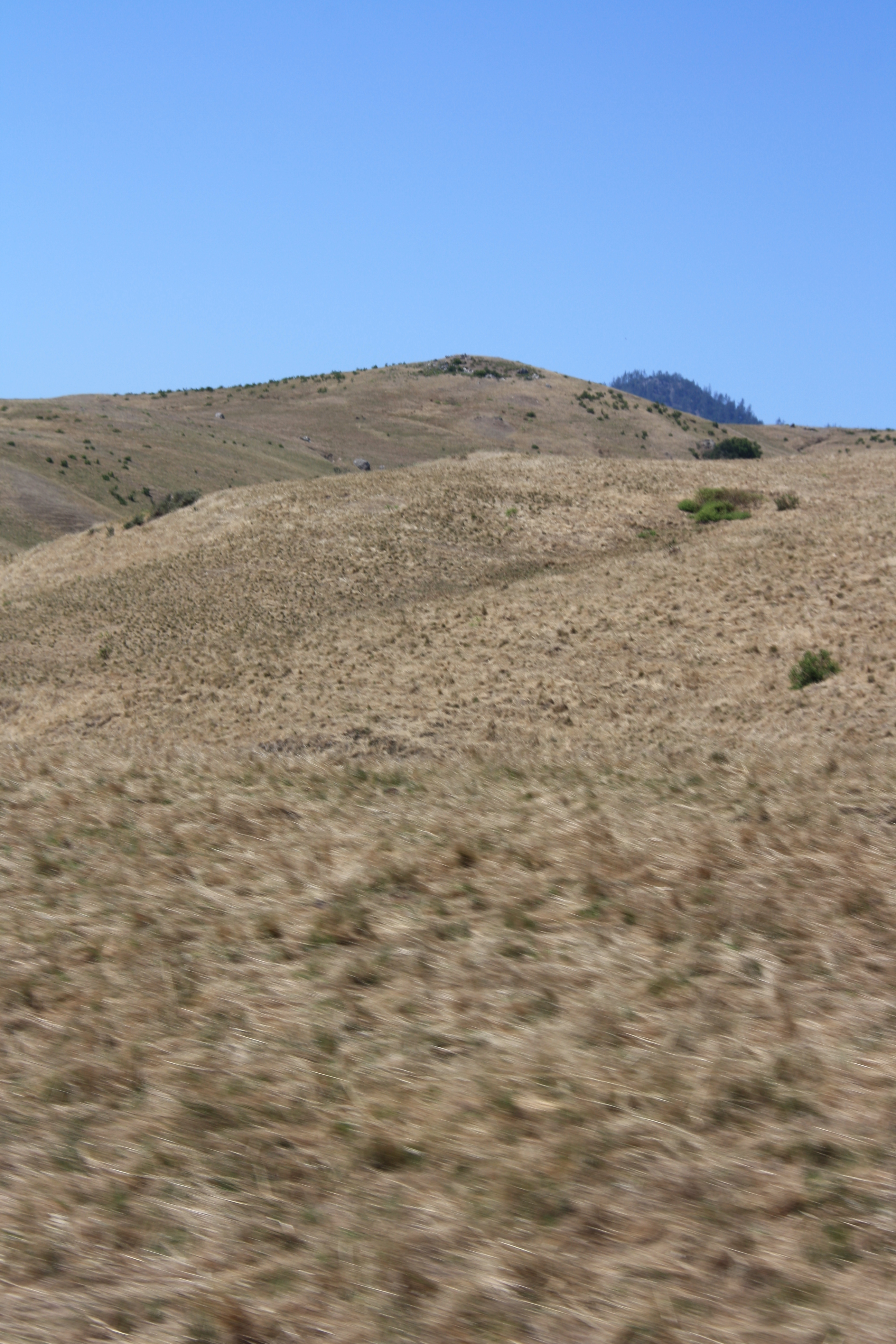 IMG_3819.JPG