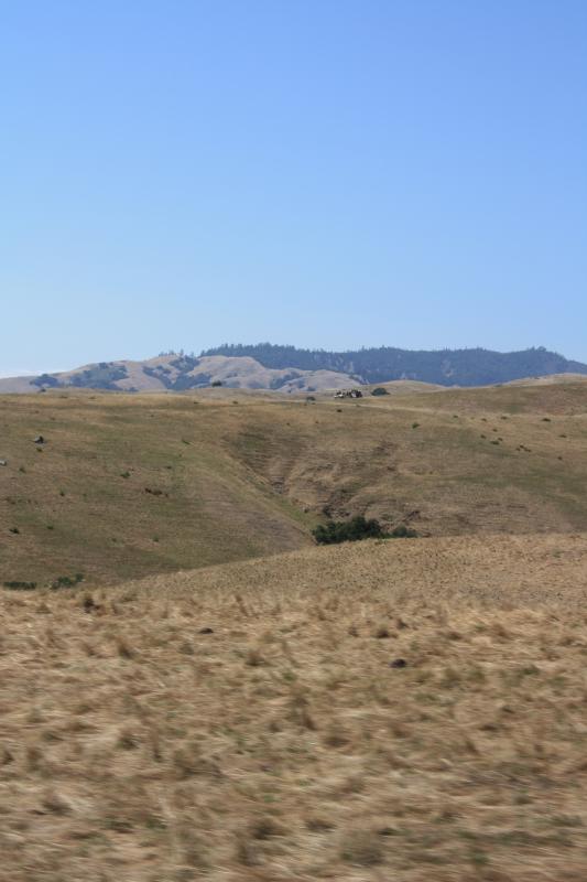 IMG_3820.JPG