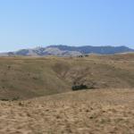 IMG_3820.JPG