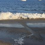 IMG_3941.JPG
