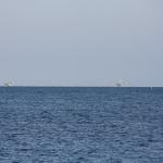 IMG_3971.JPG