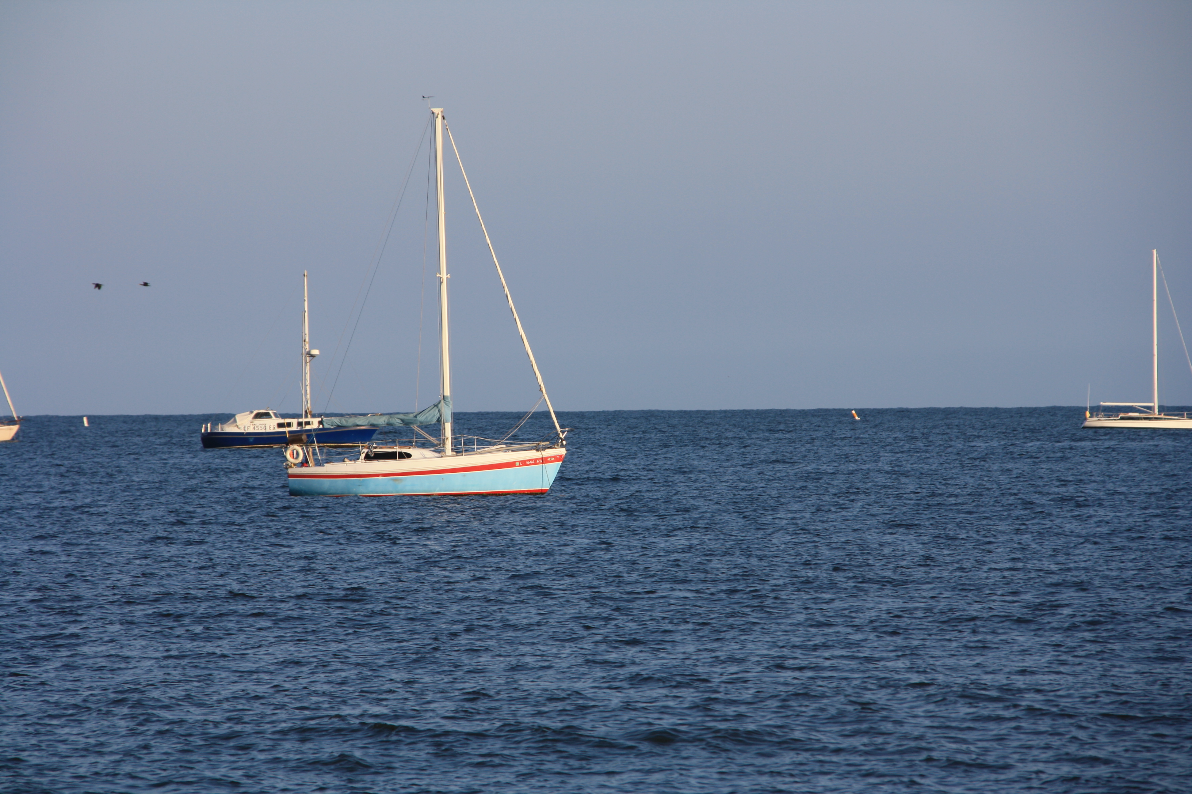 IMG_3972.JPG