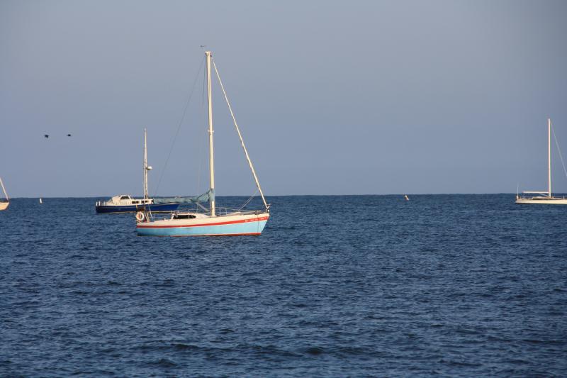IMG_3972.JPG