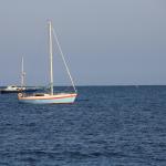 IMG_3972.JPG