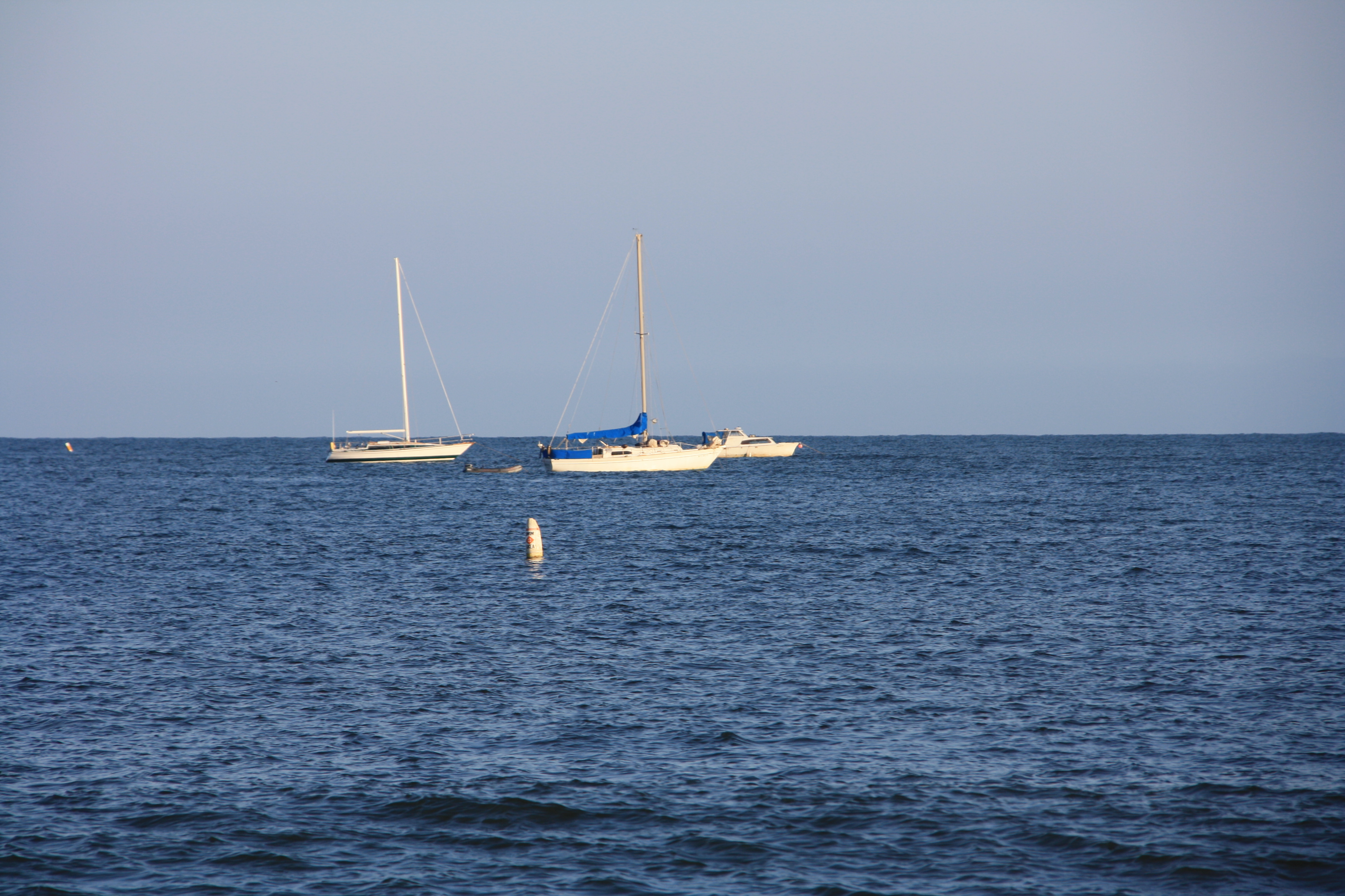 IMG_3973.JPG