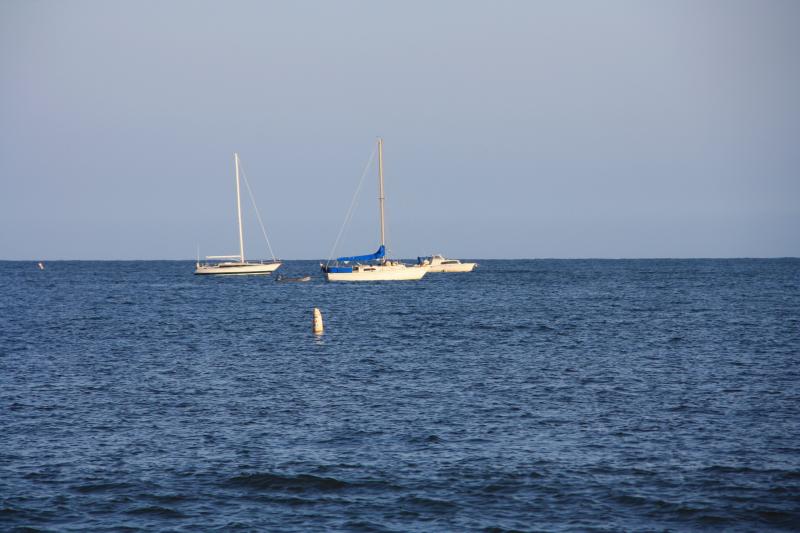 IMG_3973.JPG