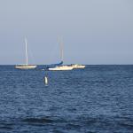 IMG_3973.JPG