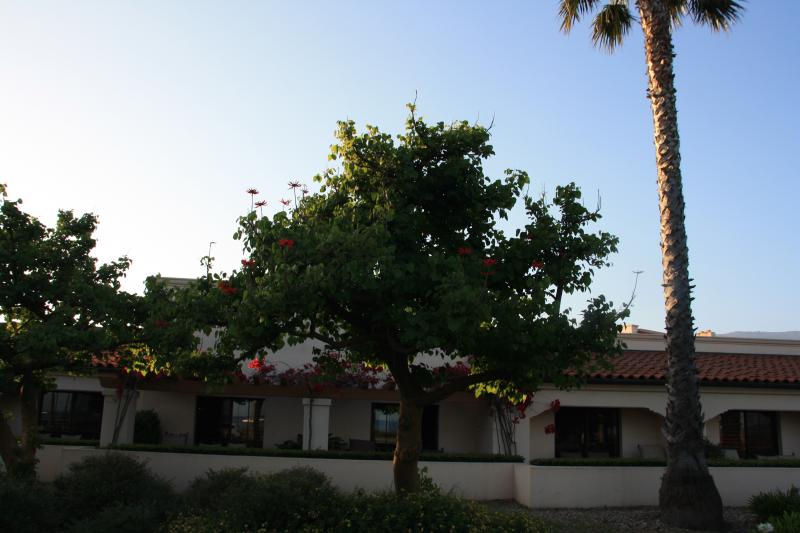 IMG_4004.JPG