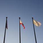 IMG_4011.JPG