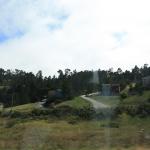 IMG_3837.JPG